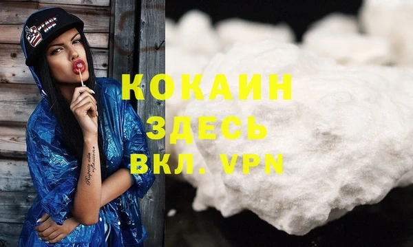 дживик Баксан