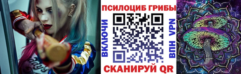 Псилоцибиновые грибы прущие грибы купить цена Астрахань