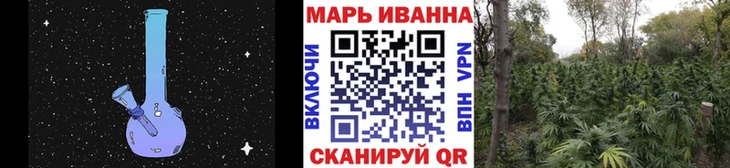 Бошки марихуана конопля  мориарти формула  Астрахань  наркота 